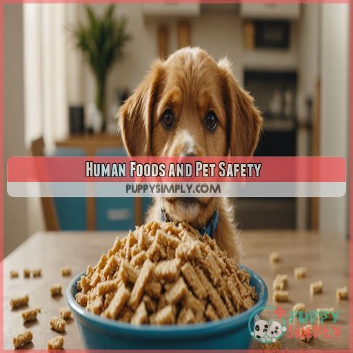 Human Foods and Pet Safety