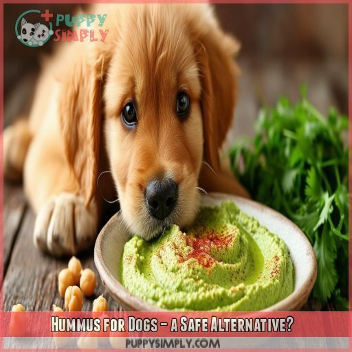 Hummus for Dogs – a Safe Alternative