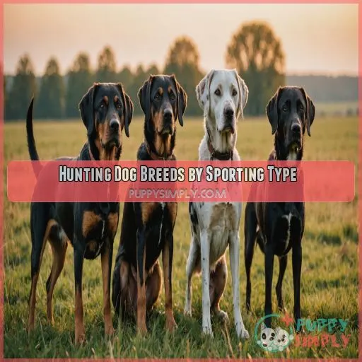 Hunting Dog Breeds by Sporting Type