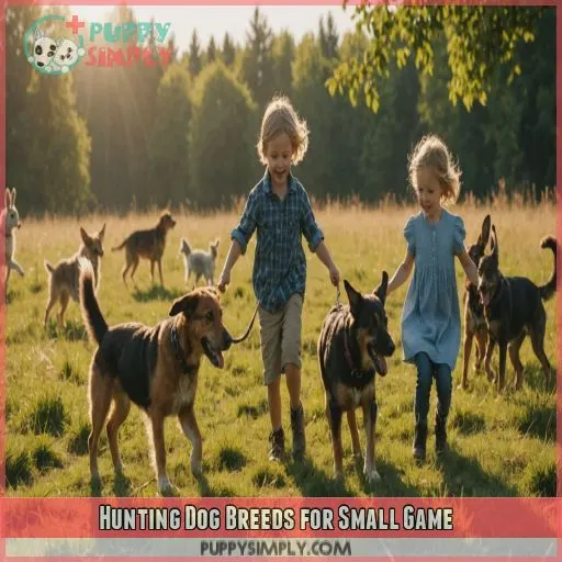 Hunting Dog Breeds for Small Game