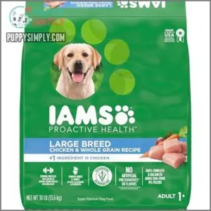 IAMS Proactive Health Large Breed