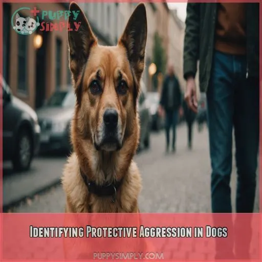 Identifying Protective Aggression in Dogs