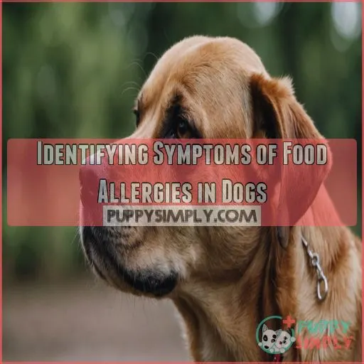 Identifying Symptoms of Food Allergies in Dogs