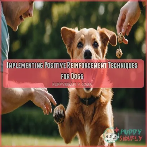 Implementing Positive Reinforcement Techniques for Dogs