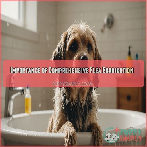 Importance of Comprehensive Flea Eradication