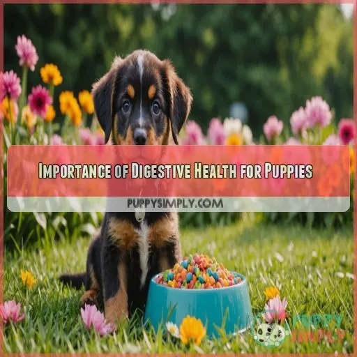 Importance of Digestive Health for Puppies