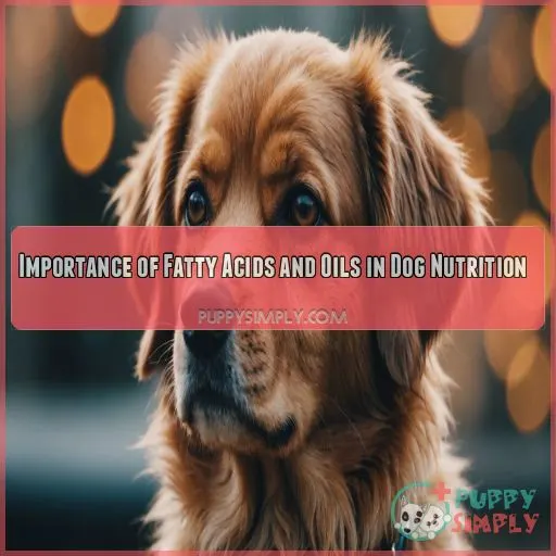 Importance of Fatty Acids and Oils in Dog Nutrition