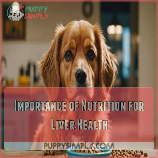 Importance of Nutrition for Liver Health