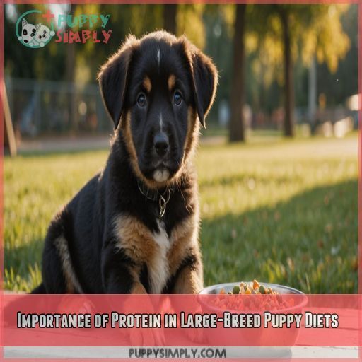 Importance of Protein in Large-Breed Puppy Diets