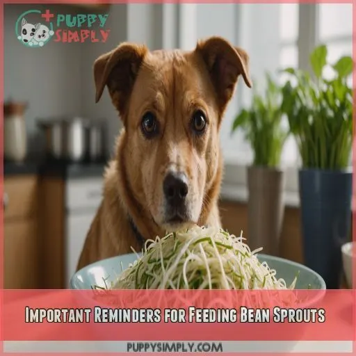 Important Reminders for Feeding Bean Sprouts