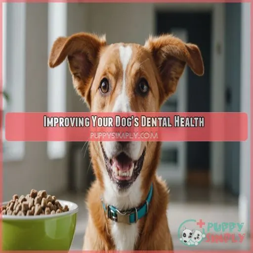 Improving Your Dog