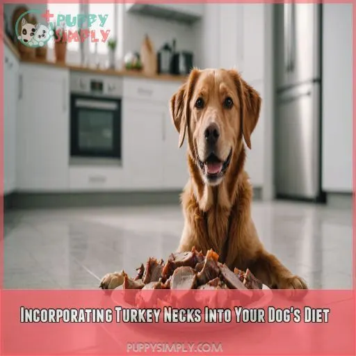 Incorporating Turkey Necks Into Your Dog