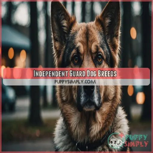 Independent Guard Dog Breeds