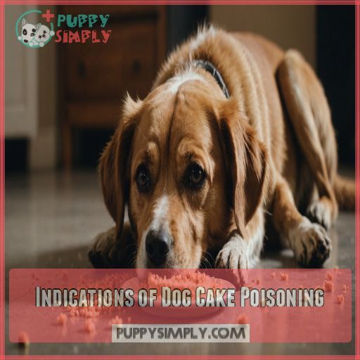 Indications of Dog Cake Poisoning