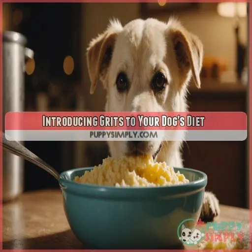 Introducing Grits to Your Dog