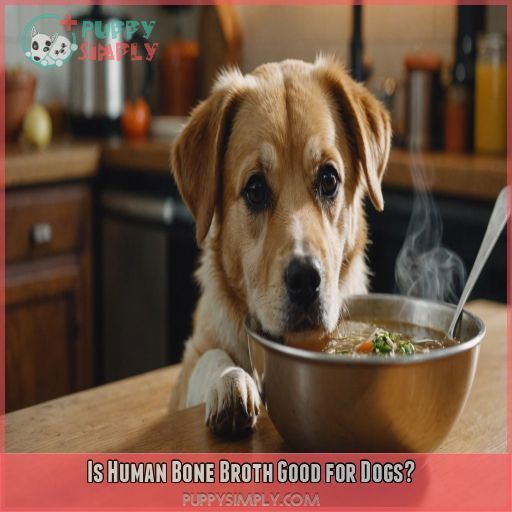 Is Human Bone Broth Good for Dogs