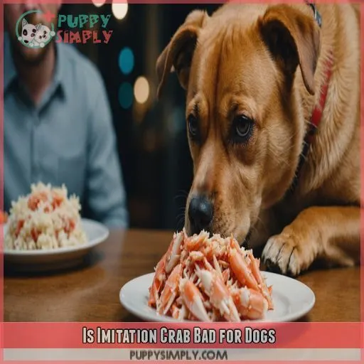 Is Imitation Crab Bad for Dogs