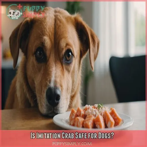 Is Imitation Crab Safe for Dogs