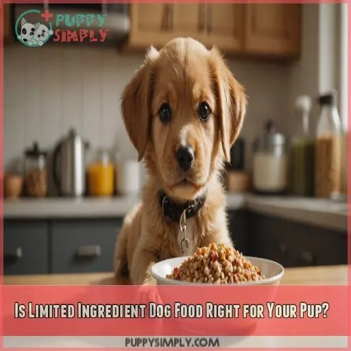 Is Limited Ingredient Dog Food Right for Your Pup