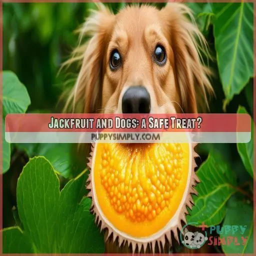 Jackfruit and Dogs: a Safe Treat