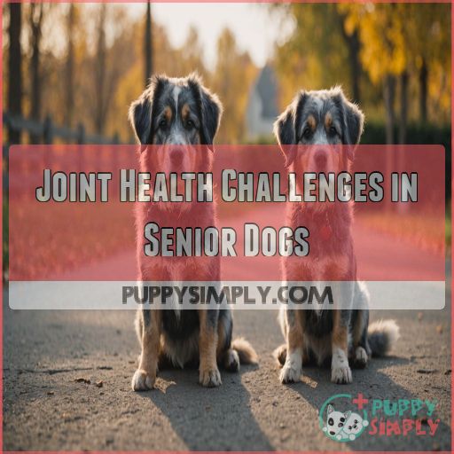 Joint Health Challenges in Senior Dogs