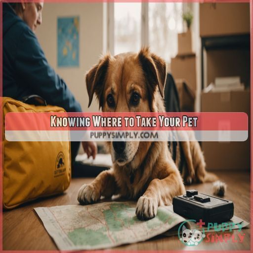 Knowing Where to Take Your Pet Knowing Where to Take Your Pet