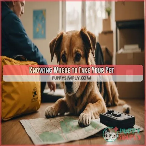 Knowing Where to Take Your Pet