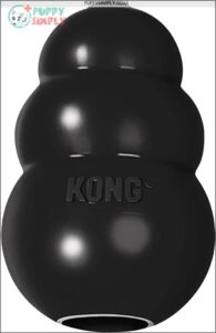 KONG Extreme Dog Toy - B000GUDZO2