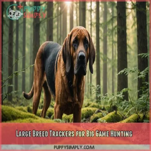 Large Breed Trackers for Big Game Hunting