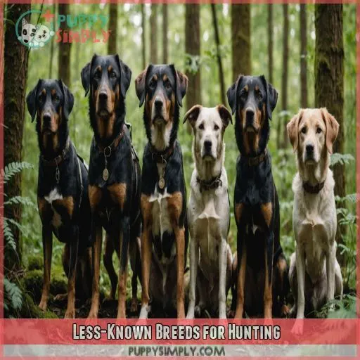 Less-Known Breeds for Hunting