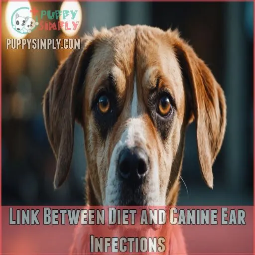 Link Between Diet and Canine Ear Infections