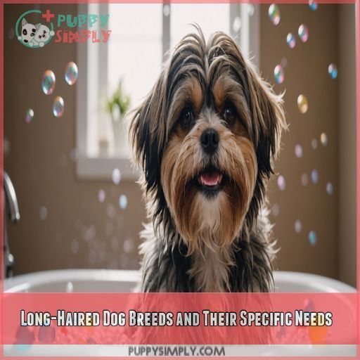 Long-Haired Dog Breeds and Their Specific Needs Long-Haired Dog Breeds and Their Specific Needs