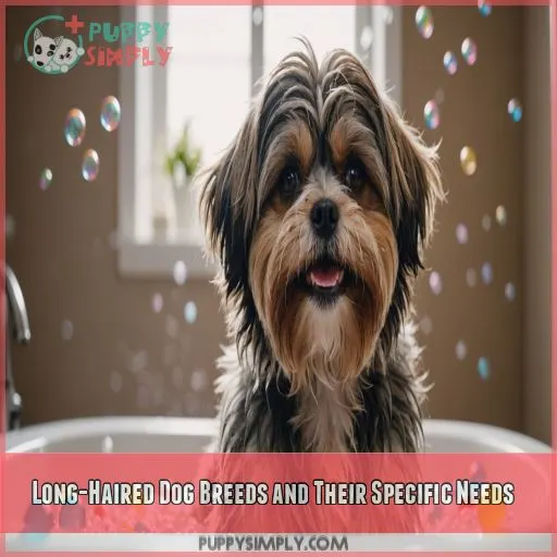 Long-Haired Dog Breeds and Their Specific Needs