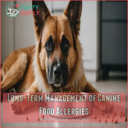 Long-Term Management of Canine Food Allergies