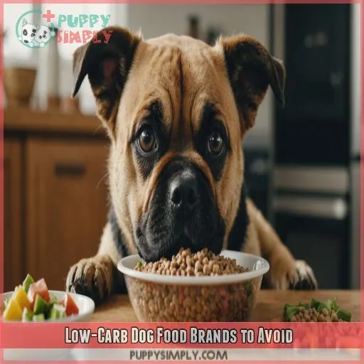 Low-Carb Dog Food Brands to Avoid