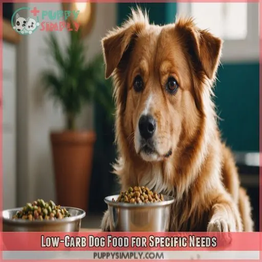 Low-Carb Dog Food for Specific Needs