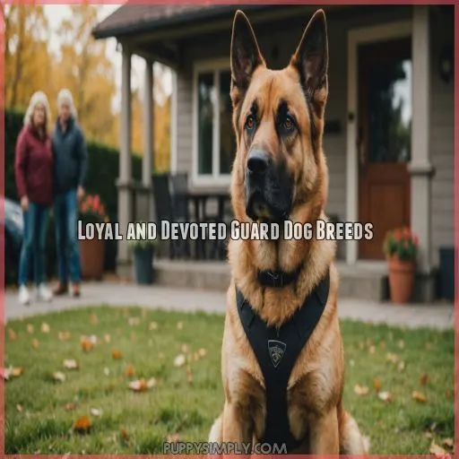 Loyal and Devoted Guard Dog Breeds