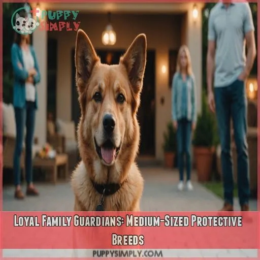 Loyal Family Guardians: Medium-Sized Protective Breeds