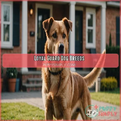 Loyal Guard Dog Breeds