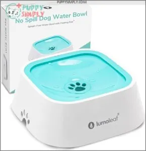 LumoLeaf No Spill Water Bowl