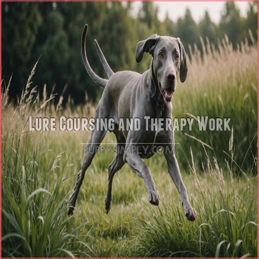 Lure Coursing and Therapy Work