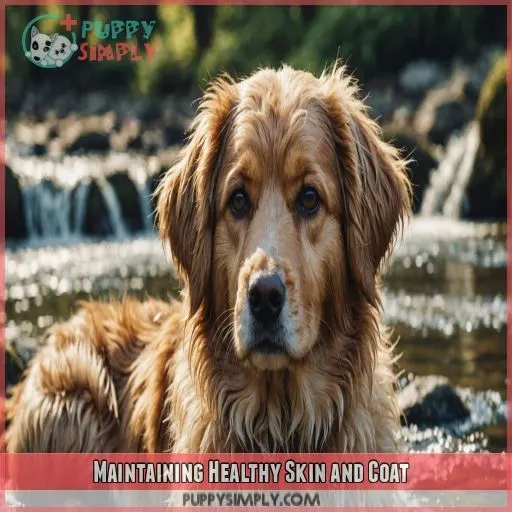 Maintaining Healthy Skin and Coat