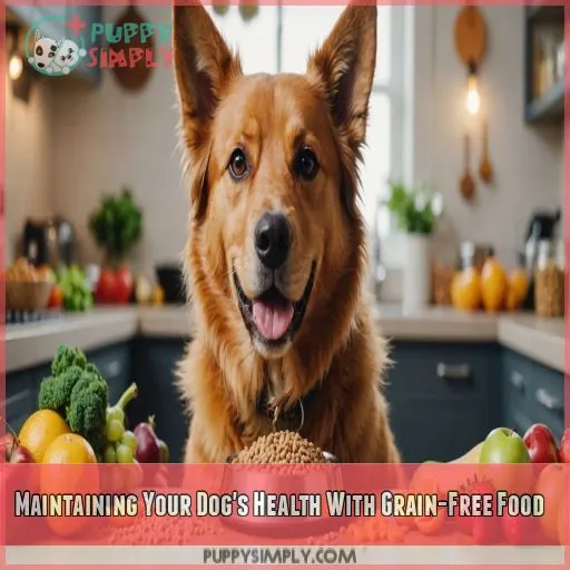 Maintaining Your Dog