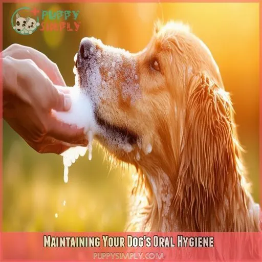 Maintaining Your Dog