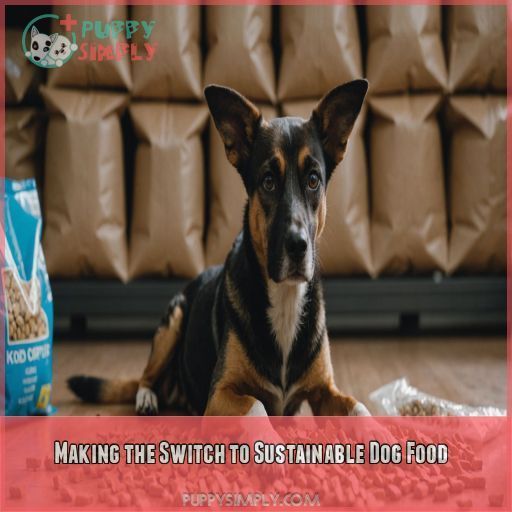 Making the Switch to Sustainable Dog Food