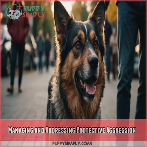 Managing and Addressing Protective Aggression