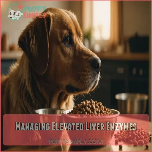 Managing Elevated Liver Enzymes