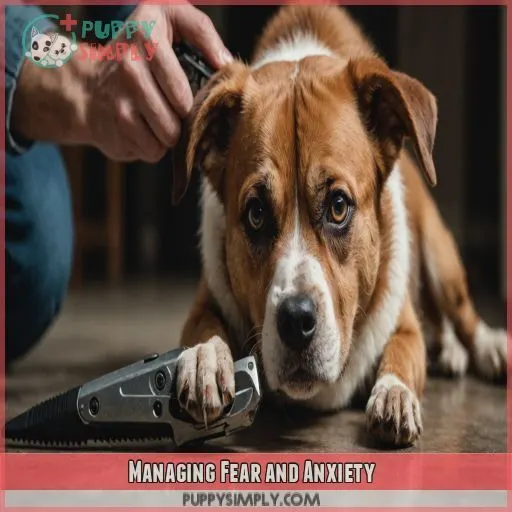 Managing Fear and Anxiety