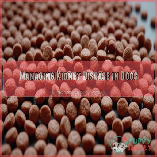 Managing Kidney Disease in Dogs