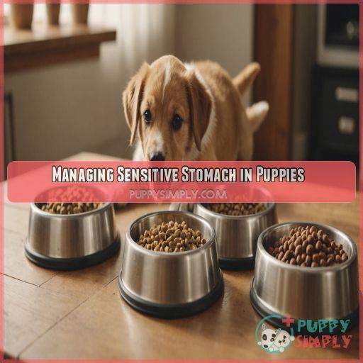 Managing Sensitive Stomach in Puppies